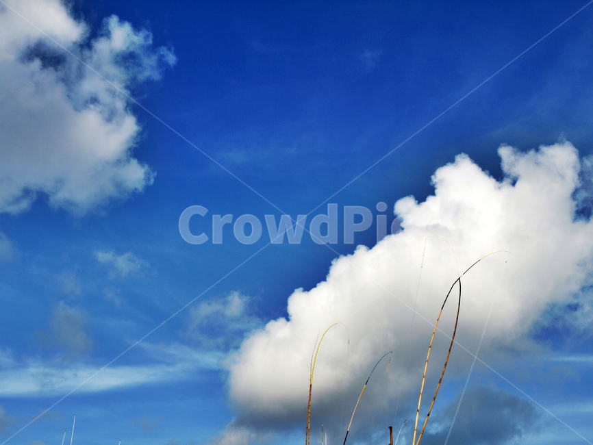 하늘,푸른하늘,구름,흰구름,낚시대,자연,풍경,nature,landscape,outdoors,옥외,weather,날씨,sky,cloud,cumulus,적운
