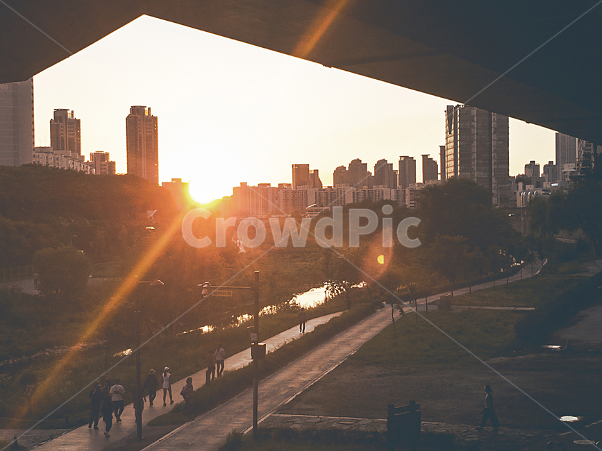 light,빛,flare,플레어,감성사진