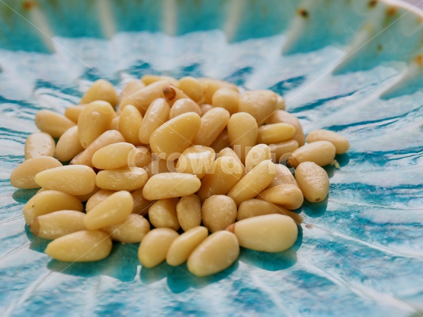 잣,견과류,그릇,소나무견과류,노란색,간식,콩류,견과류,beans,pulse,nuts,dry fruits