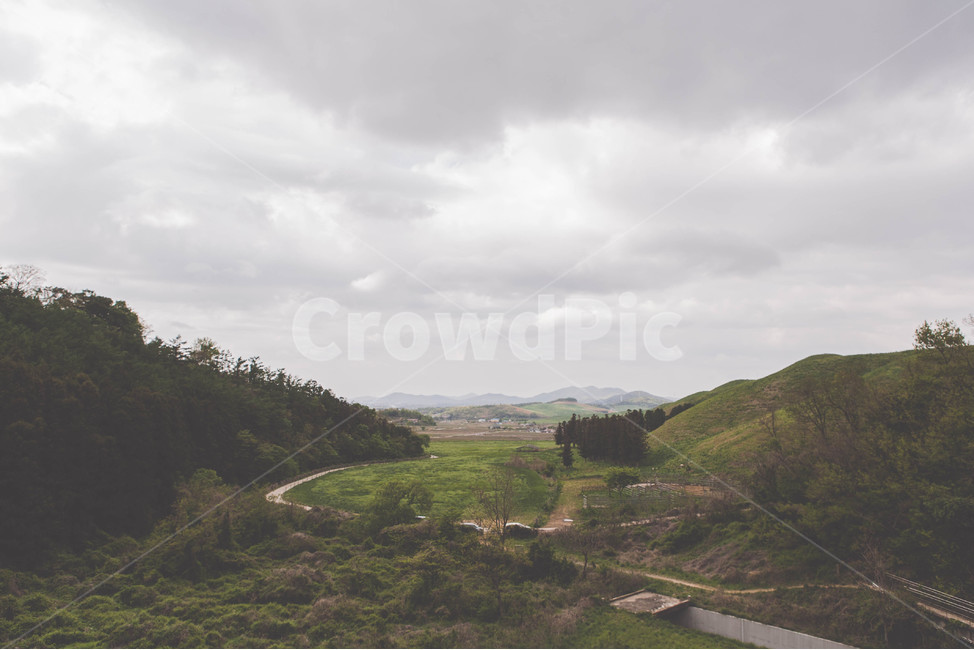 마을,시골마을,한적함,나무,숲,숲속,시골,자연,풍경,nature,landscape,outdoors,옥외