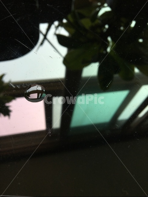 물방울,식물,하늘,창문,droplet,water,plants,sky,window