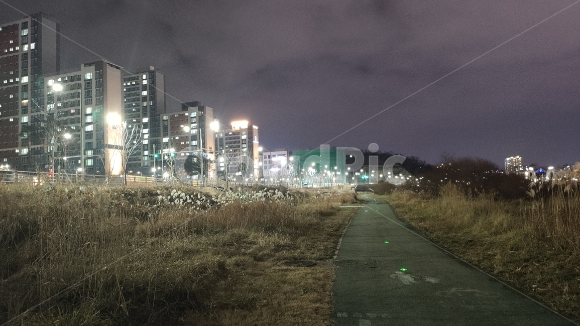 전주시,삼천천야경,야경,천변야경,도시천야경,삼천천,nature,자연,outdoors,옥외,flare,플레어,빛,light