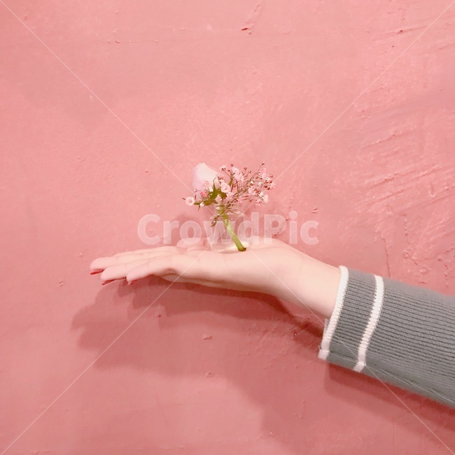 꽃,감성,핑크,분홍,귀욤