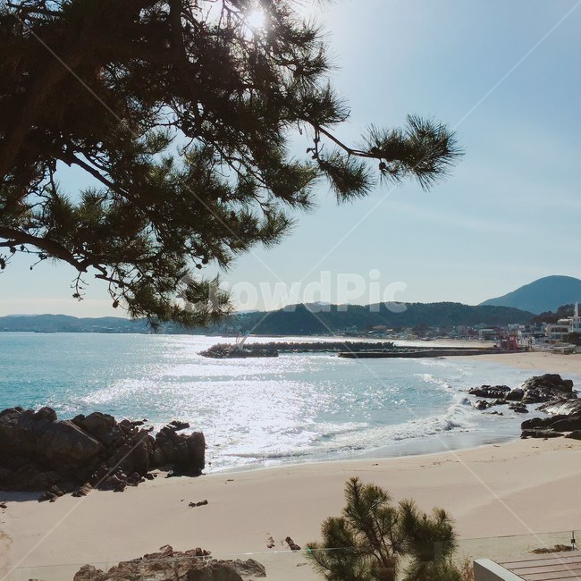 바다,눈부심,해변,여유,부산