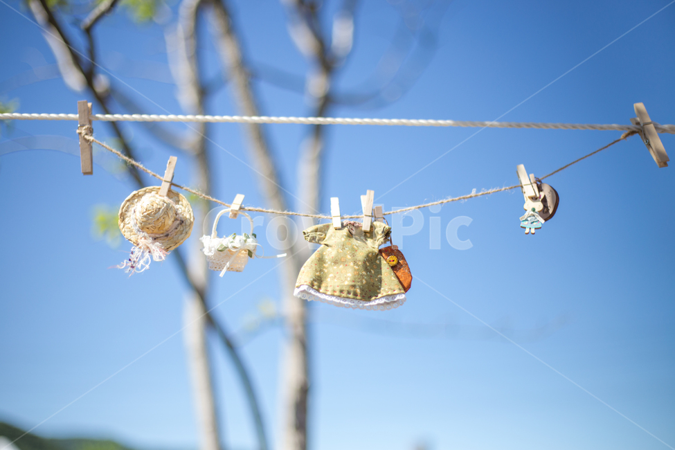 감성,하늘,줄,나무,빨래줄,emotion,sky,tree,감성,sensible,feeling,사물,물건,오브젝트,thing,object,matter