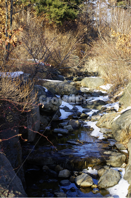 겨울,winter,풍경,설경,눈,식물,plant,자연,nature,나무,겨울,계절,winter,season,자연,풍경,nature,landscape,water,물,outdoors,옥외,stream,흐름,creek,작은 만