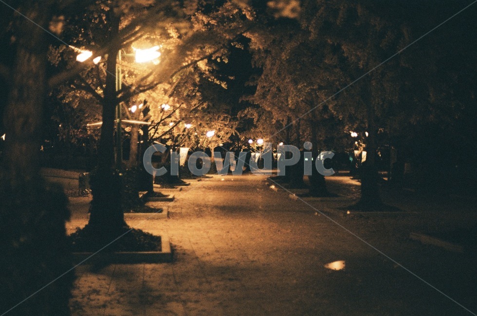 필름,필름카메라,필름사진,film,filmcamera,nightview,landscape,야경,밤,풍경,nightscape,night,landscape