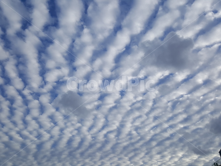 구름,하늘구름,하늘,양털구름,양떼구름,자연,풍경,nature,landscape,outdoors,옥외,sky,cloud
