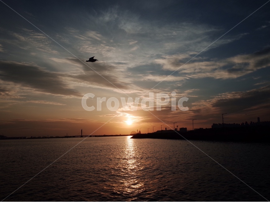 노을,하늘,바다,선셋,감성,자연,풍경,nature,landscape,sunlight,햇빛,outdoors,옥외,sky,sunset,일몰,dusk,황혼,dawn,새벽,red sky,붉은 하늘