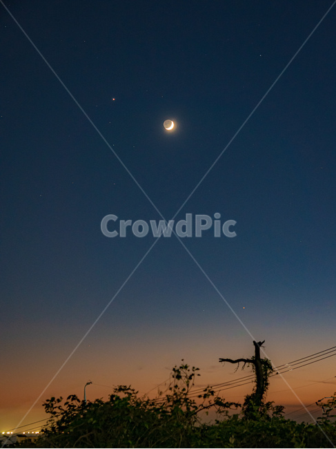 nature,자연,moon,달,밤하늘,night,sky,해질녘,어스름,twilight,star,별,jeju,제주밤하늘,제주도,제주,자연,풍경,nature,landscape,야경,밤,nightscape,night