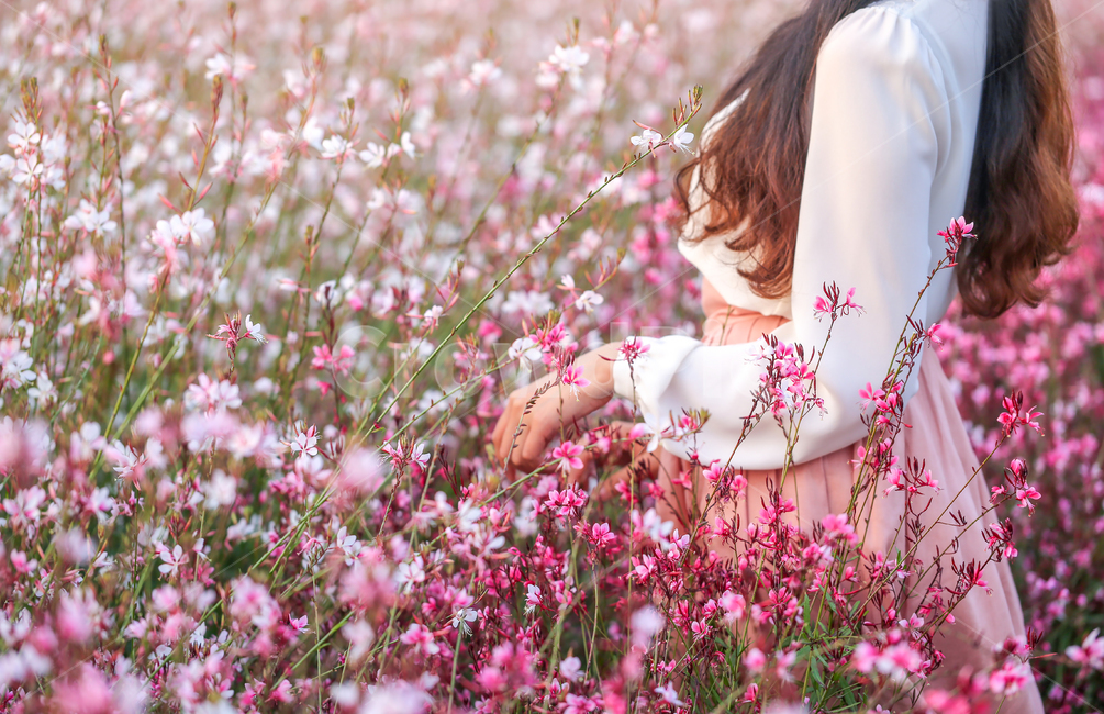 식물,가우라꽃,꽃밭,여인,감성,나비바늘꽃,분홍꽃,흰꽃,공원,배경,핑크,많은,꽃,계절,봄,가을,사람,여성,옆모습,손,한명,흰블라우스,긴머리,woman,garden,pink,white,flower,식물,자연,plants,nature,꽃,flower,사람,인물,인간,human,person,여성,여자,woman,female,lady,감성,sensible,feeling,색깔,색상,색채,색감,color sense,color sensitivity,feeling of color