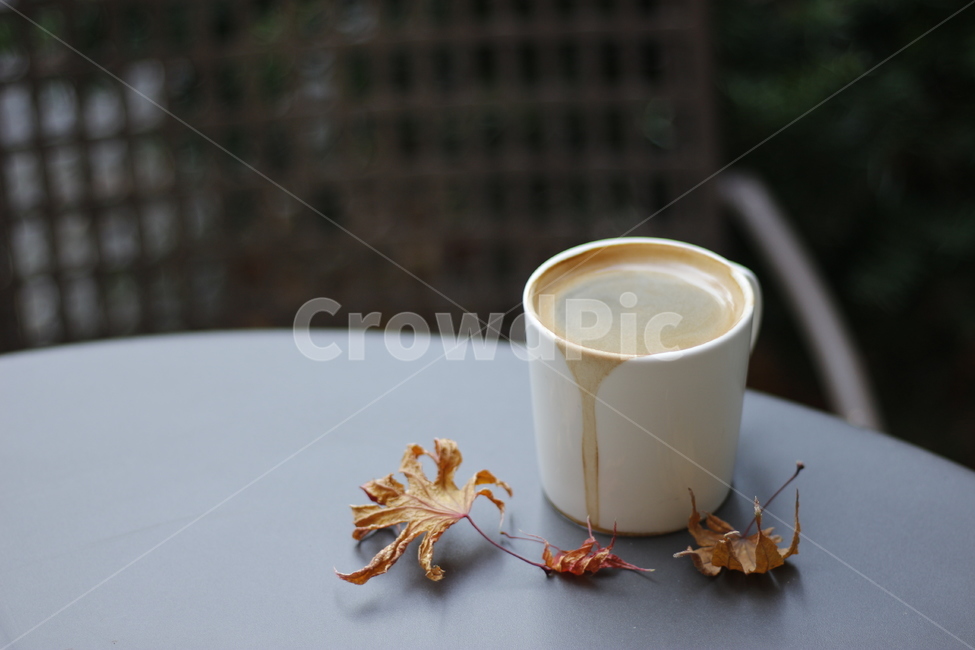 가을,낙엽,커피,카페,감성,아메리카노,따듯한,가을,계절,fall,autumn,season,커피,카페,coffee,cafe,cup,컵,coffee cup,커피 컵,saucer,받침 접시,pottery,도기류