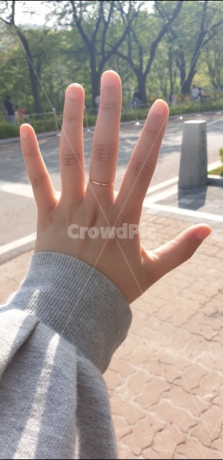 여자손,여자,신체,손,햇빛,반지