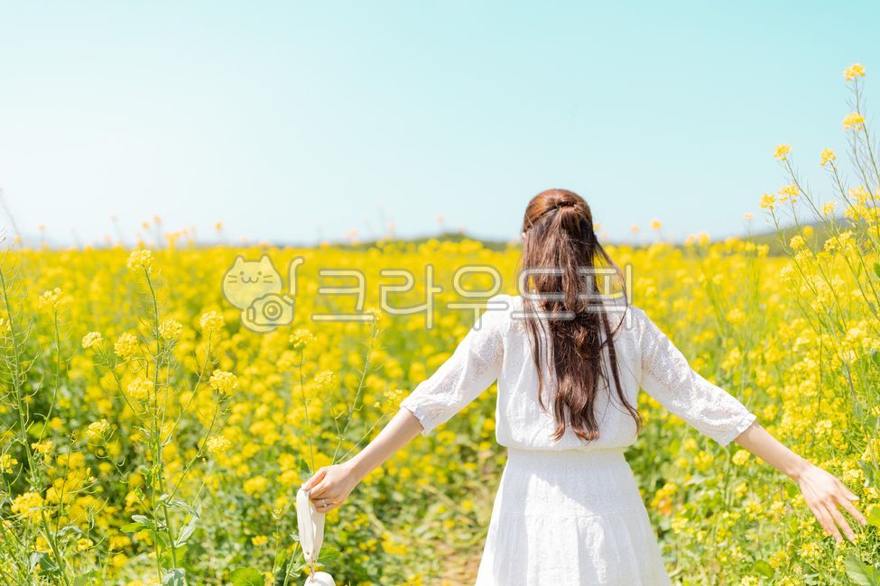 유채꽃,제주,제주도,여자,뒷모습,여인,여성,사람,유채,꽃,꽃밭,풍경,모습,카피공간,카피스페이스,여백,공백,빈공간,빈칸,나들이,소풍,힐링,휴가,휴가지,관광,관광지,여행지,여행장소,계절,시즌,봄,봄꽃,꽃들,봄꽃들,식물,노란꽃,플로랄,줄기,잎,잎새,이파리,날씨,맑은,맑음,맑다,낮,오후,하늘,푸른,푸른색,파란,파란색,파랑,파랑색,초원,유채꽃밭,유채꽃단지,들판,노란,노란색,노랑,노랑색,누런,누런색,초록,초록색,녹색,싱그러운,싱그러움,화사한,컬러,컬러풀,개화,만개,흰,흰색,하얀,하얀색,원피스,옷,긴머리,생머리,긴생머리,팔,상체,뒤모습,field,필드,grassland,nature,meadow,옥외,outdoors,자연,목초지,person,봄,계절,spring,season,여행,휴가,traveling,vacation,trip