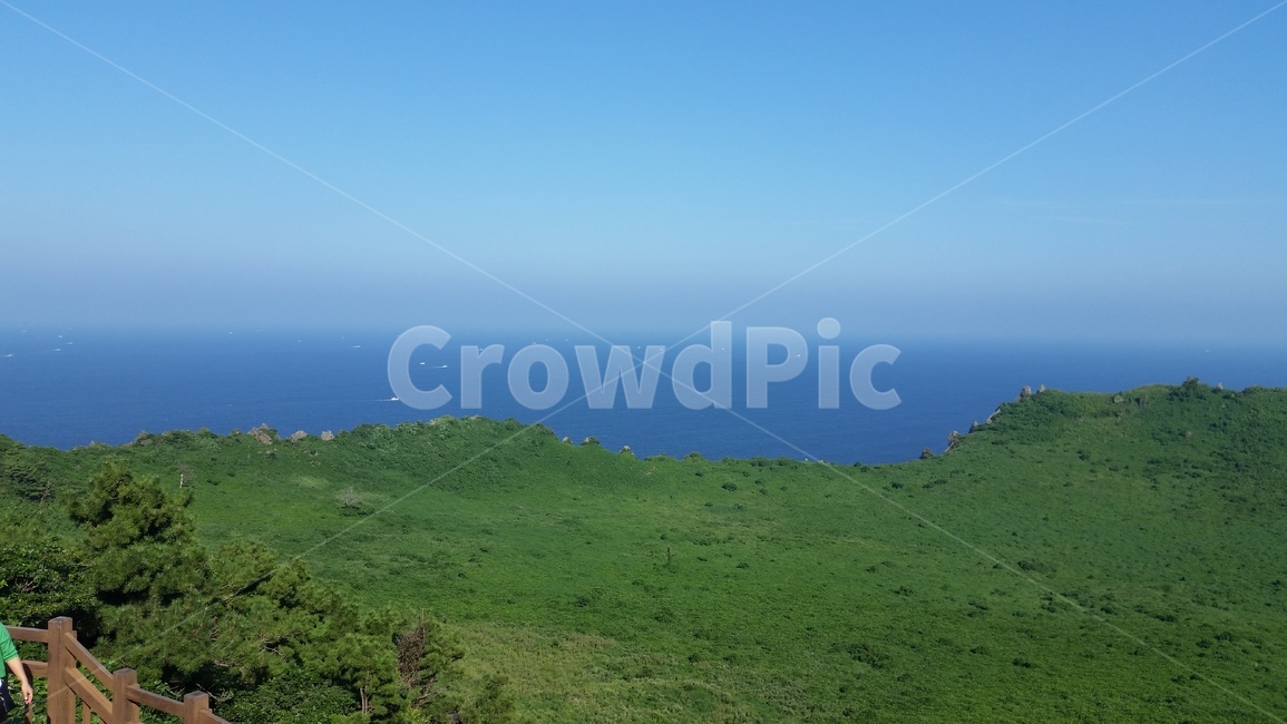 제주도,제주,섬,바다,들판,자연,풍경,nature,landscape,outdoors,옥외