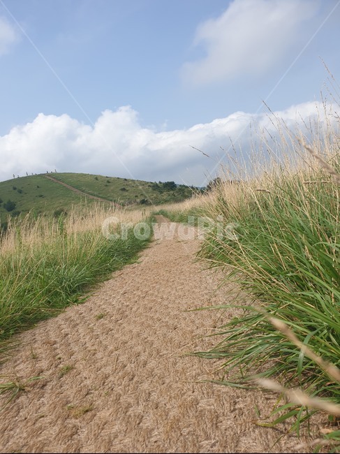 오름,산,흙길,도로,road,바닥