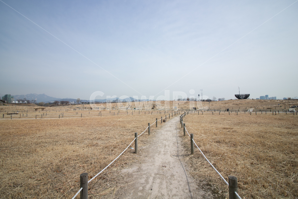 하늘공원,평야,넓은곳,가을,평지,자연,풍경,nature,landscape,ground,바닥,dirt road,흙길,gravel,자갈,road,도로
