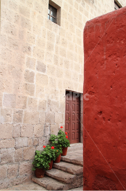 arequipa,peru,southamerica,antacatalina,아레키파,페루,red,wall,벽,direction,path,alley,calle,좁은길,plant,식물,fresh,green,배경,background,계단,stairs,오래된,vintage,rustic,남미