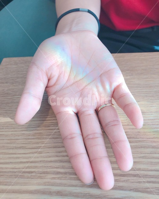 무지개,여자손,손바닥,손가락,카페