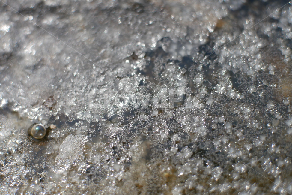 소금,소금결정,바다,결정,salt,crystals