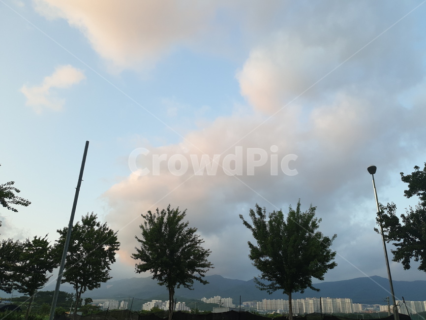파란,하늘,하얀,구름,나무,건물,깃털구름,산