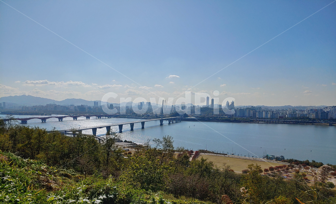 서울,가을,전경,autumn,갈대,공원,갈대숲,reed,nature,자연,경치,landscape,scenery,풍경,outdoors,옥외,푸른하늘,가을,계절,fall,autumn,season