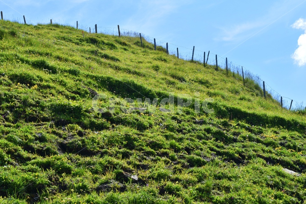 스위스,유럽,산,체르마트,mountain,자연,풍경,하늘,구름,유럽느낌,스위스도시,swiss,그린델발트,switzerland,griendelwald