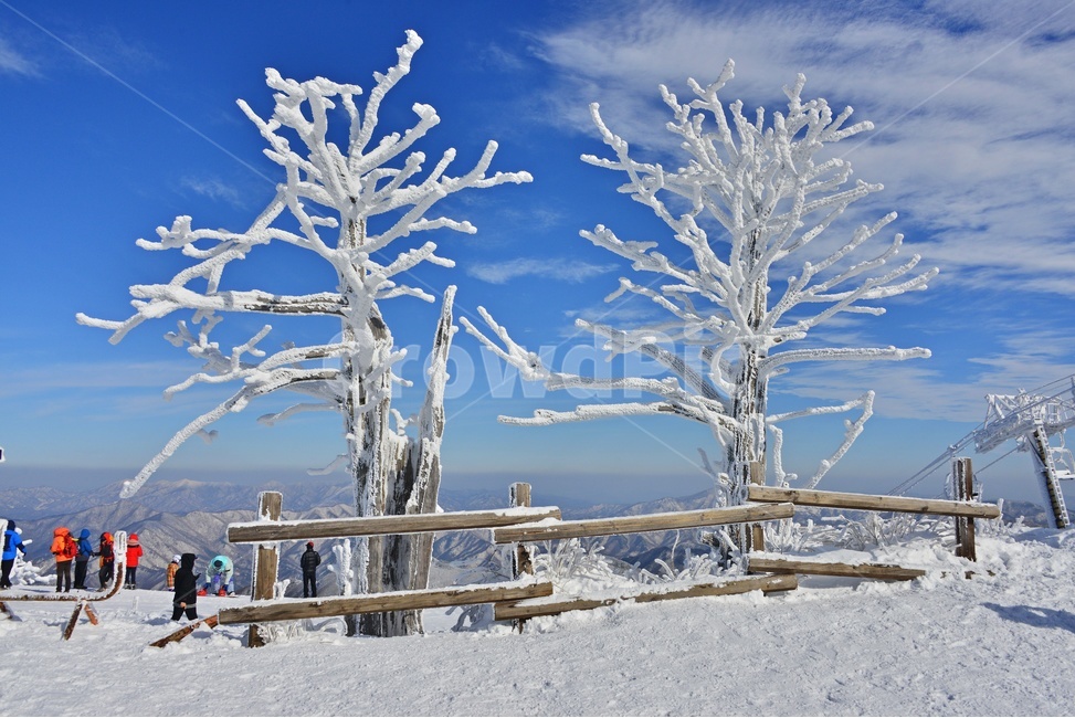 person,사람,human,인간,snow,눈,nature,자연,outdoors,옥외,ice,빙,mountain,산,mountainrange,산맥,무주,덕유산,덕유산설경,겨울,계절,향적봉,중봉,상고대,나무,겨울,계절,winter,season