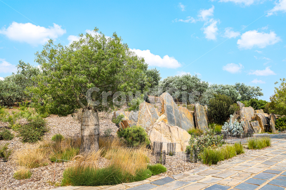 walkway,path,통로,flagstone,판석