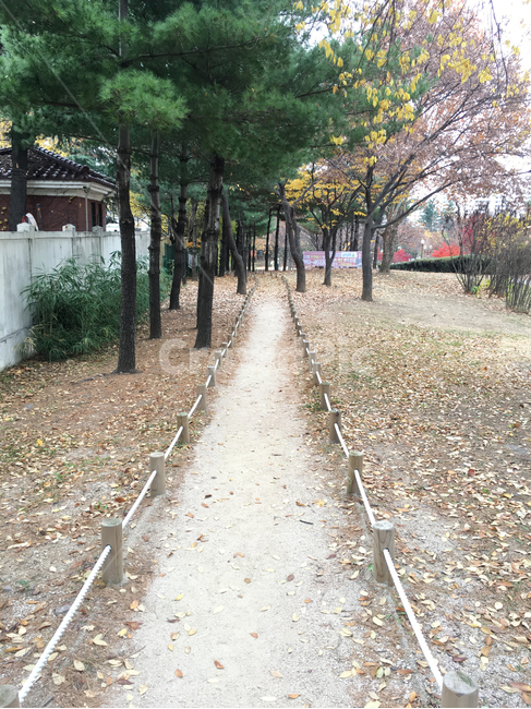 벽,담,wall,보도,walkway,sidewalk,풍경,scenery,나무,tree,나무줄기,treetrunk,낙엽,deciduous,잎,leaf,생활,life,공원,park,바닥,땅,ground,floor,flooring,식물,plant,통로,path,길,road,흙길,dirtroad