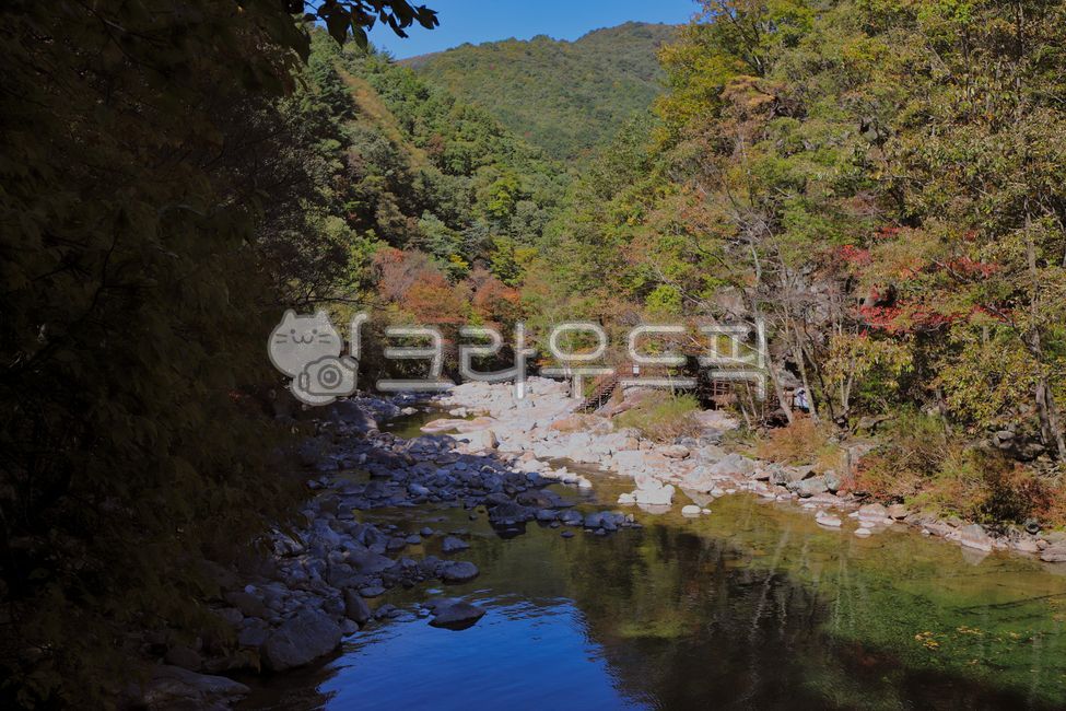 지리산,단풍,단풍놀이,뱀사골,계곡,산,가을,숲,나무,등산,nature,자연,outdoors,옥외,water,물