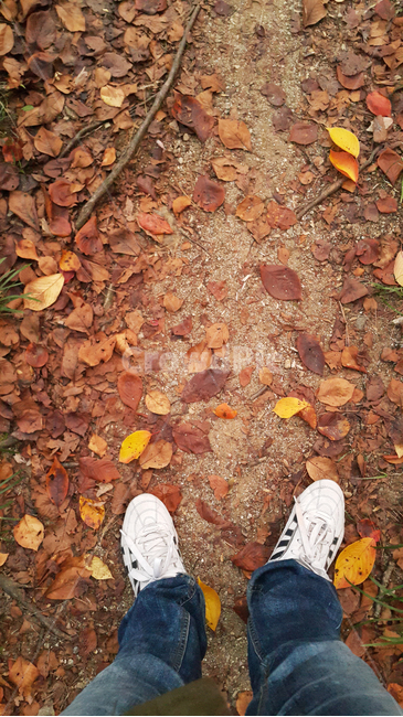 낙엽,가을,바닥,운동화,길,청바지,나뭇잎,잎,가지,ground,clothing,apparel,의복,human,인간,footwear,신발류,person,사람,가을,계절,fall,autumn,season