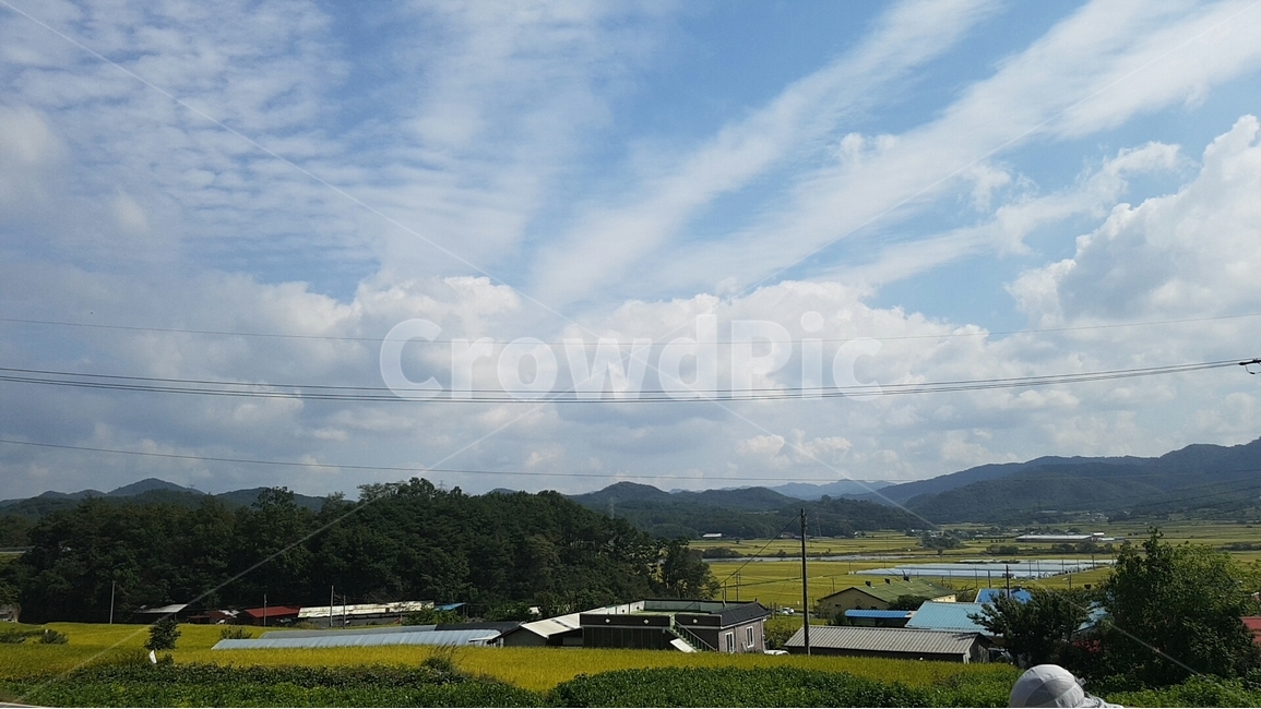 시골,구름바다,초록밭,전기줄,시골냄새,시골,마을,풍경,landscape,country,rural,town
