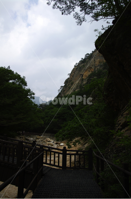 길,산,하늘,나무,식물,풍경,자연,풍경,nature,landscape,outdoors,옥외,railing,난간