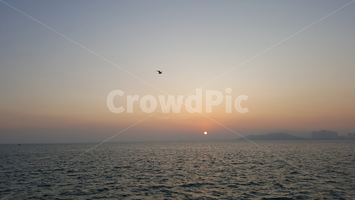 바다,월미도,노을,갈매기,그라데이션,자연,풍경,nature,landscape,adventure,모험,leisure activities,레저 활동,outdoors,옥외