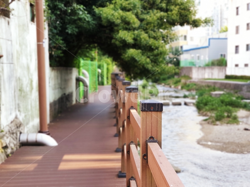 nature,자연,solarrain,햇빛,walking,산책,풀,green,river,강가,대나무,나무,tree