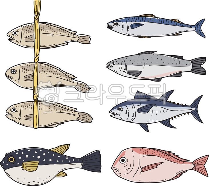 Fish illustration,fish drawing,fish,fish,seafood,oyster,puffer,mackerel,salmon,tuna,sea bream,barley oyster