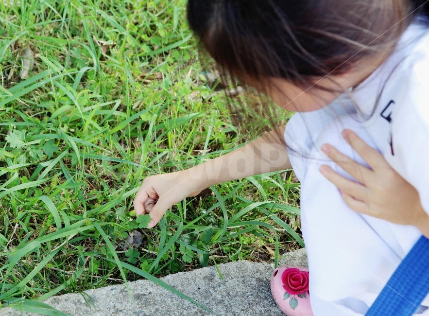 세잎클로버,어린이,여아,초등학생,아이,풀,정원,잡초,만지다,오감,체험하다,체험학습,따다,뜯다,잡다,식물,자연,plants,nature,사람,인물,인간,human,person,어린이,어린아이,child,children,kid