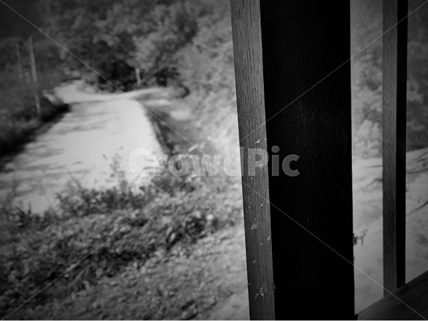 ground,바닥,토지,창문,자연,흑백,모노톤,monochrome,black and white
