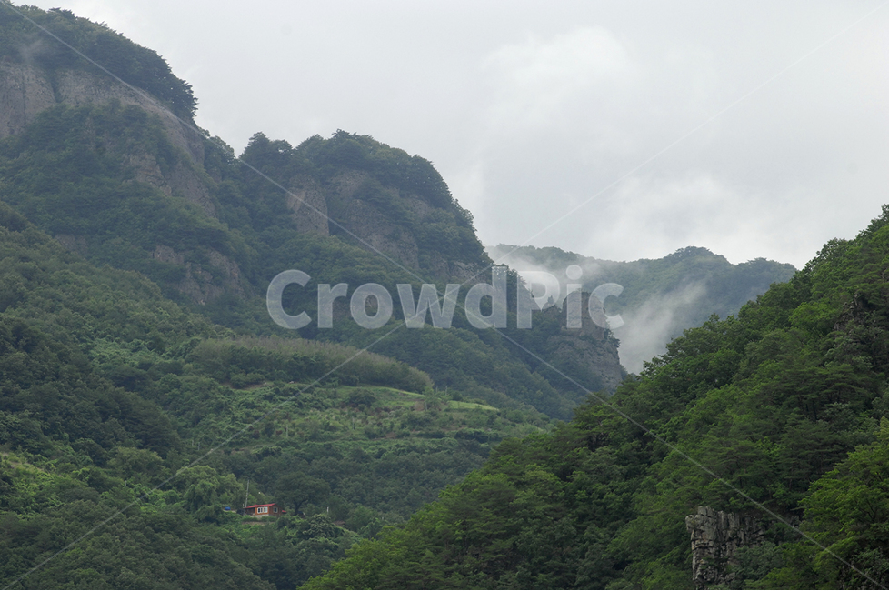 산,구름,소나무,청량산,계곡,자연,풍경,nature,landscape,outdoors,옥외,slope,경사