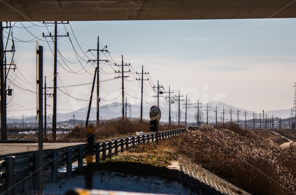 길,갈대밭,전주,풍경,겨울,자연,풍경,nature,landscape,겨울,계절,winter,season,cable,케이블,electric transmission tower,송전탑,power lines,전력선