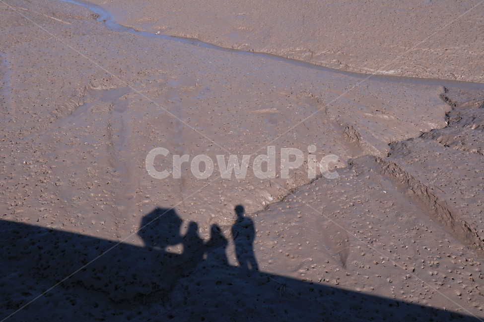 outdoors,흙,sand,모래,옥외,nature,자연,soil,그림자