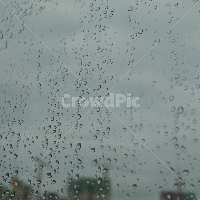 봄비,비소식,빗방울,봄,흐린날,비,비오는날,rain,rainy
