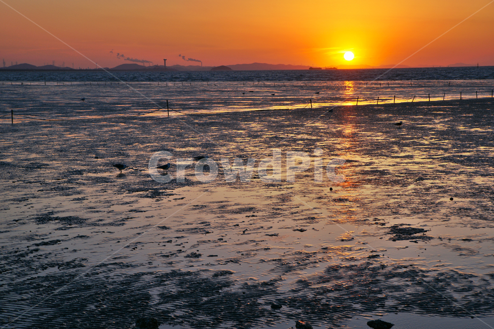 일몰,오이도,갯벌,썰물,서해안,저녁놀,석양,시흥시,뻘,자연,풍경,nature,landscape