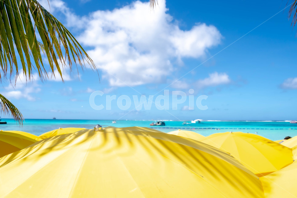 summer,여름,tropical,nature,자연,outdoors,land,물,water,해안선,shoreline,ocean,대양,sea,바다,coast,연안,파라솔,parasol,beach,바닷가,야자수,여름,계절,summer,season