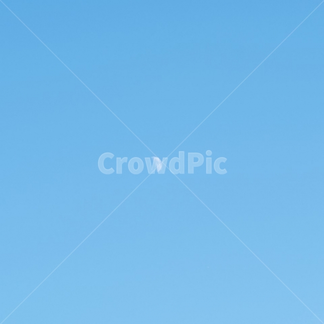 낮달,달,풍경,MOON,하늘,자연,풍경,nature,landscape,flying,나는,animal,동물,bird,새