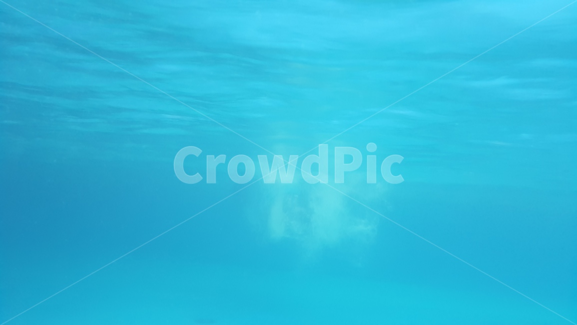 수영장,swimming,사람,person,스포츠,human,수영,nature,자연,water,물,outdoors,수중,underwater,옥외,스포츠,레저,운동,sports,leisure,exercise