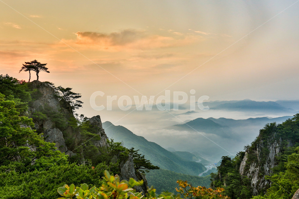 nature,자연,대둔산,일출,outdoors,자연,풍경,nature,landscape,한국자연풍경,한국자연경관,korea nature landscape