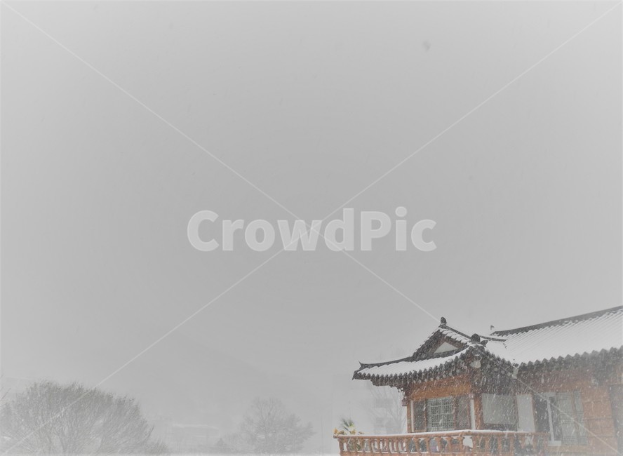 snow,눈,winter,겨울,storm,폭풍,nature,자연,눈보라,날씨