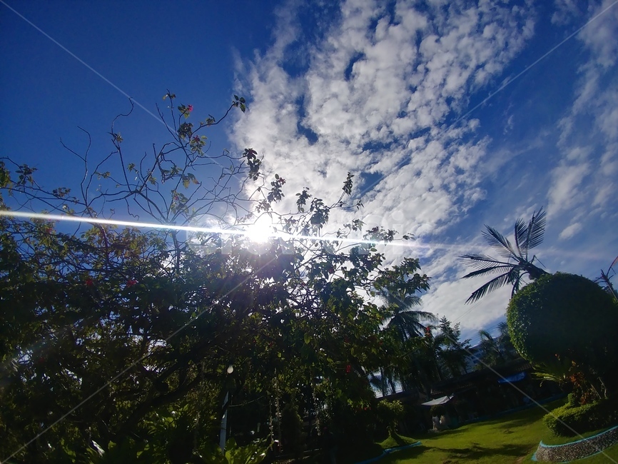 파란하늘,풍경,하늘,구름,햇빛,나무,자연,풍경,nature,landscape,해외,외국,세계,foreign,oversea,world,세계자연풍경,해외자연풍경,외국자연풍경,world nature landscape,light,빛,flare,플레어